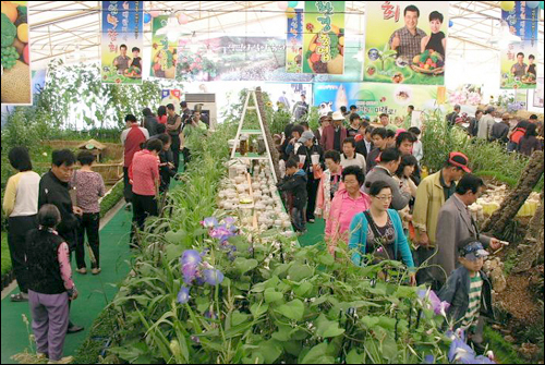 올 대한민국 농업박람회는 '친환경 생명농업! 미래 희망과 도전'을 주제로 24일부터 엿새 동안 전남농업기술원에서 열린다.