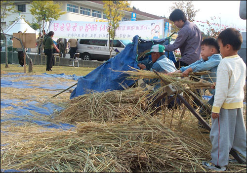 농업박람회장을 찾은 어린이들이 홀테질을 하며 옛날 벼수확을 체험하고 있다.(지난 해 행사 모습)