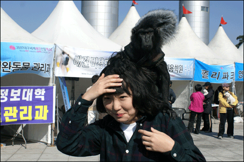 애완용 원숭이 보보와 함께 사진찍기 애완용 원숭이 보보와 기념촬영하고 있는 한 시민. 보보는 꼬리가 없는 것이 특징이다. 