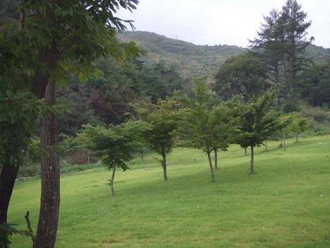 산을 뒷배경으로 두고 있는 잘 정돈된 잔디밭
