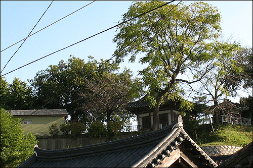  
충남도 유형문화재 제63호 임이정. 그 아래 지붕만 보이는 건물은 죽림서원 헌장당이다. 
 
 
