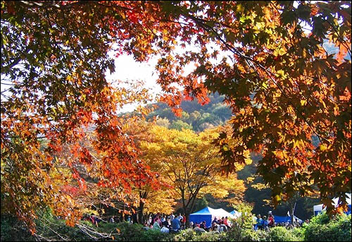 소요산 올라가는 길 도시인의 축제.