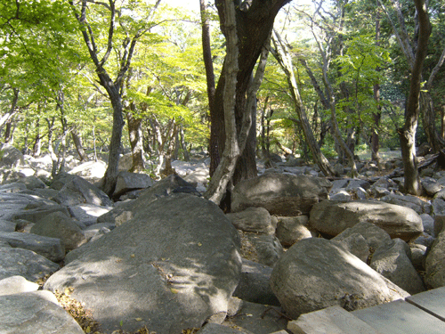 여러 모양의 바위들이 널려 있다.