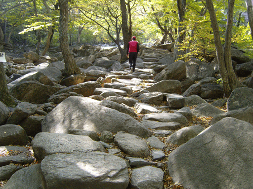 이 길로 계속 올라가면 북문에 이른다.