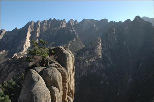 천화대와 세존봉의 암석들 구룡대에서 바라본 천화대와 금강의 암봉들. 금강산의 비경을 이런 것을 두고 한 말이던가?