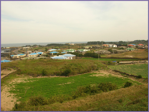 하도리 마을 해녀박물관 3층에서 바라본 하도리 마을