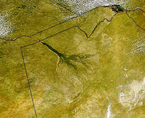위성에서 찍은 오카방고 델타(가운데 부채 손잡이와 부채꼴 모양)의 사진