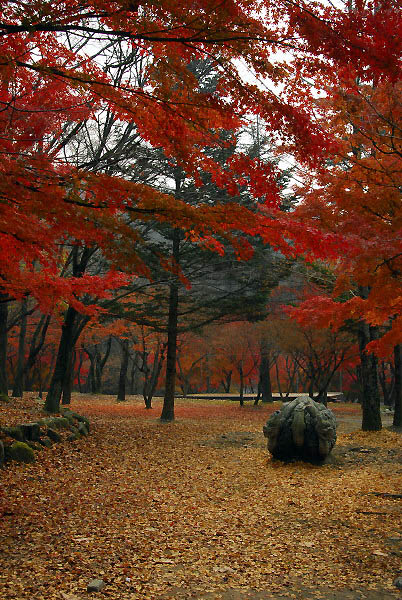 절 전체를 온통 누런 빛의 낙엽과 붉은 빛의 단풍이 에워싸고 있어 잿빛 석물마저도 때깔이 곱다.