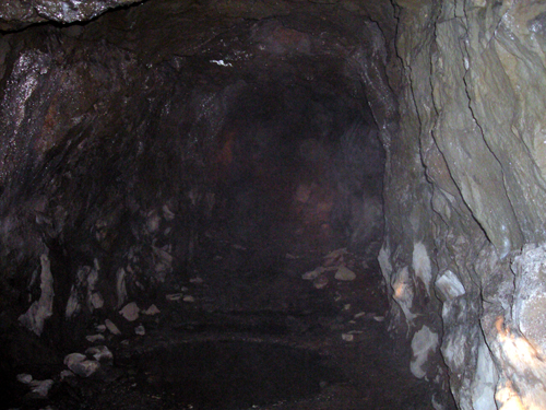 동굴 내부는 총 길이가 약 100여 미터 남짓 이었다.
