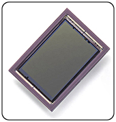  CMOS(Complementary Metal Oxide Semi-Conductor)는  니콘이 'D2Xs'까지 사용한 촬상소자인 CCD(Charge Coupled Device)에 전력소비를 뺀 모든 이론적 성능면에서 뒤졌으나 캐논의 지속적인 개발에 따른 성능 향상으로 제조단가가 높은 CCD를 대체하고 있다.