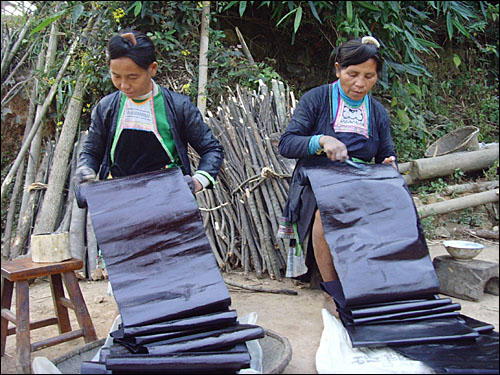 '타오부' 옷감에 아교액을 덧칠하는 두 여인. 타오부의 제작과정은 아주 복잡한데, 아교액을 덧칠함으로써 방수·방풍 효과를 낸다. 
