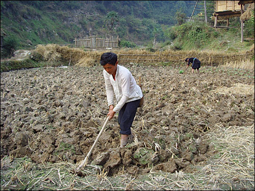 남편은 논을 경작하고 아내는 밭을 일군다. 잔리촌에서 남녀평등은 주민의식과 노동, 생활에서 확립돼 있다.