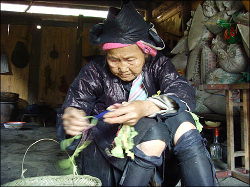 잔리촌에서 환화초를 조제할 수 있는 약제사 우나이카 할머니. 82세의 고령에도 약초를 다듬는 일은 직접 한다.