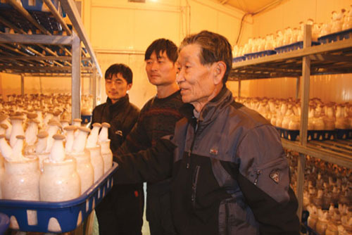 광복 직후 고아로 남겨졌다가 이후 망절씨라는 새로운 성씨의 시조가 돼 엄연한 한국인으로 살아가는 망절일랑(오른쪽)씨는 양산지역에서 '버섯 박사'로 불리고 있다.