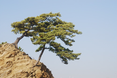 초등학교에서의 인성 교육