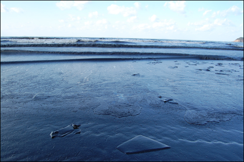 바다는 온통 기름이다. 파도는 흰포말 대신 검은 기름을 몰고 왔다.