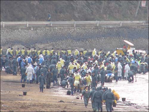 만리포 해변에 오늘도 수천면의 자원 봉사자들이 기름과 전쟁을 벌였다.