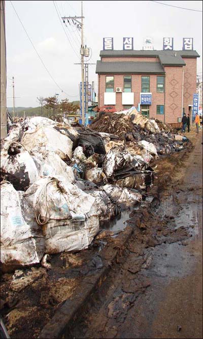 만리포 곳곳에 수거한 쓰레기에서 기름이 다시 유츌되고 있다.