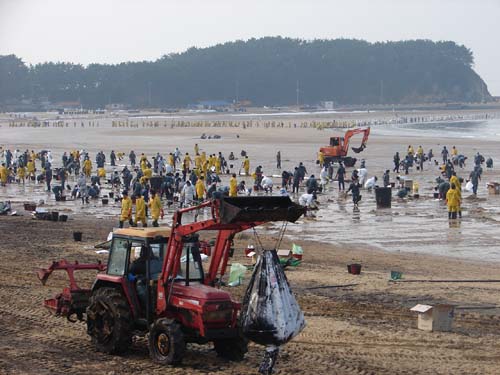 오늘도 만리포 해변에 수 만은 사람들이 복구 작업을 펼쳤다.
