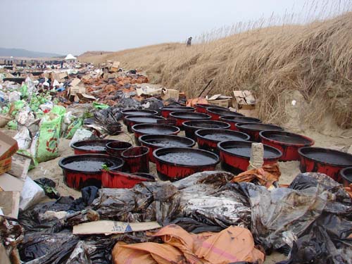 천연기념물인 신두리 사구 앞의 해변에서 수거한 기름과 폐기물이 처리가 안된 채 사구 앞에 그대로 방치되고 있어 추가 오염의 우려가 커지고 있다.