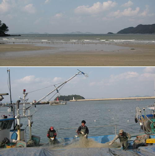 서망항 서망항과 서망 해수욕장...