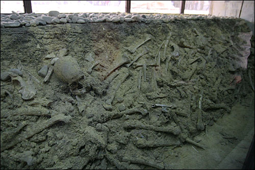 만인갱에서 발굴된 수천 점의 유골은 어린아이에서 노인까지 다양한 성별과 연령대를 보여주고 있다.