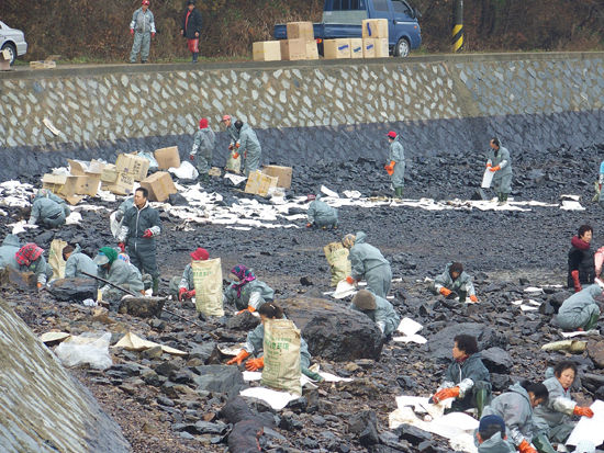  지난 11일 태안화력 앞 기름제거 작업 모습 