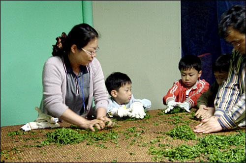  차 만드는 실습 모습