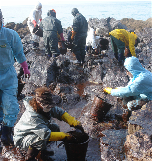 해안가 곳곳에 있는 기름띠 제거 작업은 사람의 손에 의해 가능한 작업으로 자원봉사자들의 손길이 절실하다