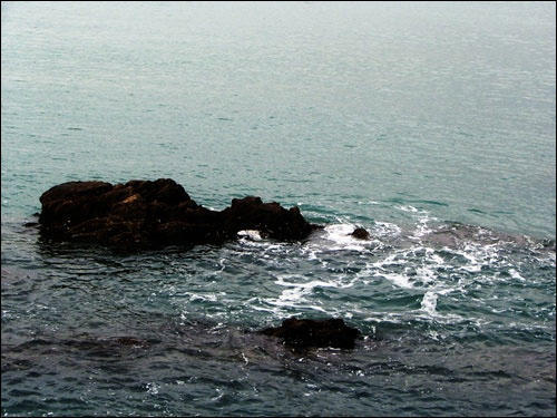 찰랑거리는 물결 속에 무심히 죽어가는 바다를 보면 더 없이 마음이 무겁습니다.