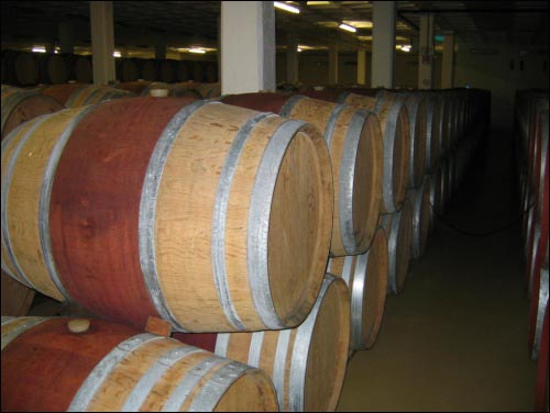 체벤바히트 와인농장의 와인을 숙성하는 오크통