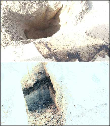 모래사장 이엠 미생물을 뿌린 백리포가 얼마나 기름제거가 되었는지 구멍을 파보았다. 일부는 기름이 보이지 않았지만 일부는 아직 기름띠가 보인다. 