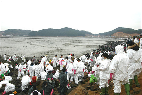 의항리 일대에서 자원봉사 활동을 하고 있는 이들, 여름 피서철에도 요즘처럼 사람이 많지 않았다고 한다.