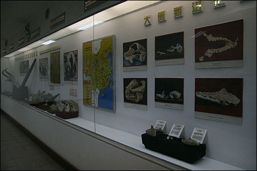 청두판다번식기지 내의 판다박물관 전시물. 쓰촨성 판다번식기지는 일반 관람객에서 개방하여 판다에 대한 대중적 관심을 높이는데 기여하고 있다. 
