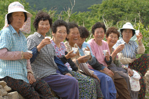 이파랑 영농조합에서 일하는 내화마을 할머니들.