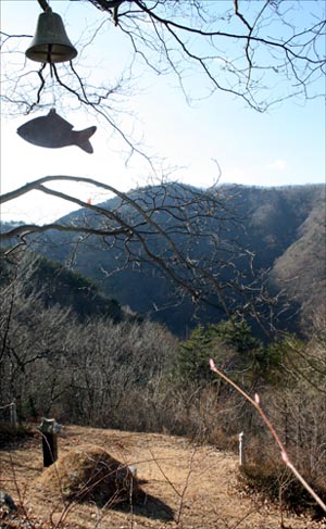 단석산 신선사 가는 길목의 독립운동가 김대지 옹의 묘소. 풍경 하나가 나무에 매달려 주위를 오가는 사람들의 귀에 맑은 소리를 들려준다.