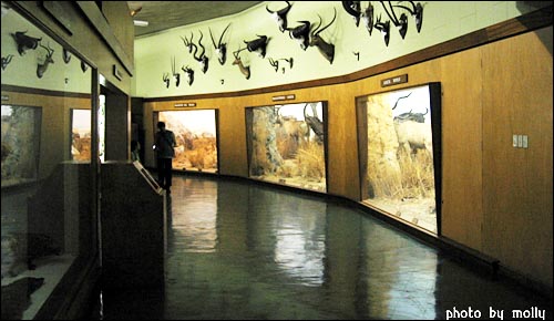 블라와요 자연사 박물관. 자연사 박물관은 지각을 구성하고 있는 광물·암석·화석과 동물과 식물 등을 채집·연구·보존하고 있는 곳이다.