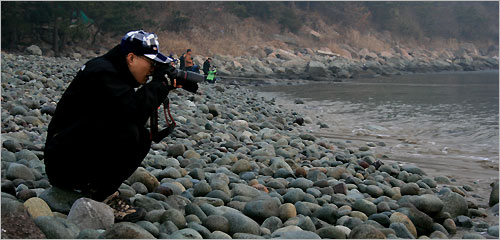 몽돌 밭에는 인천의 사진 동아리에서 왔다는 김경배씨 일행이 무술목의 풍경을 카메라에 담고 있다. 