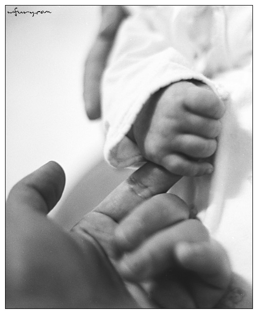 아기에게 손가락을 갖다 대면 아기는 이렇게 꼭 쥔다. 갓난 아기와 손 잡는 방법이다. 이 사진을 볼 때마다, 약하고 소외받는 생명들을 귀힌 여기는 사회가 되기를 소망한다. 