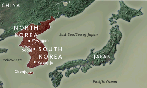 반크의 시정 요구 후에 미국 프린스턴 대학교는 미술관 사이트 한반도 지도 서비스에서 동해와 일본해를 병기 표기 했다. 반크의 오랜 시정요구 끝에 일본해와 함께 쓰도록 허용하기로 한 것.