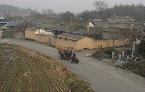 망호정마을 전경. 대동계가 마을의 크고 작은 일을 이끌어가는 이 마을은 경주 이씨 집성촌이다. 전형적인 시골마을이다.