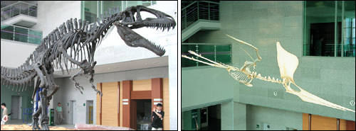 박물관 중앙홀에 있는 공룡화석. 이제 너무 식상한가?