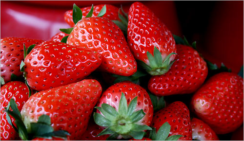 9년째 진주의 한 농가에서 직접 가져온다는 딸기는 맛과 향이 유별나다.