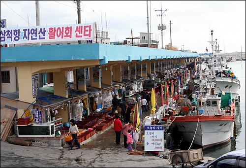 삼척항 자연산 활어회와 건어물을 살 수 있다. 1시간 동안 주어진 자유시간은 회를 먹기에는 조금 부족하다.