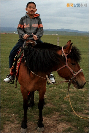 칭하이 호수 동쪽 진인탄 초원에서 말을 타고 있다