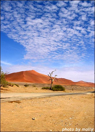 붉은 모래언덕은 푸른 하늘과 보색을 이룬다.