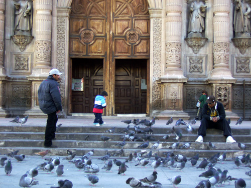 멕시코 어느 성당을 가든 평화의 상징인 비둘기 떼를 쉽게 볼 수 있다. 