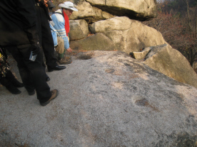 소윤하 민족정기선양위원장이 당시 군부대에서 뽑은 흔적일 것으로 추정되는 구멍을 살펴보고 있다