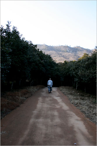 산사 가는 길  바랑을 짊어진 스님이 산사로 이어지는 길을 간다. 