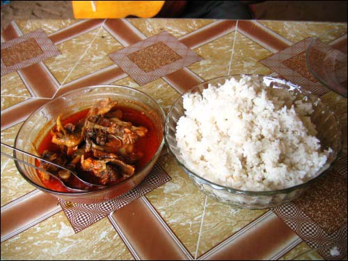 마다가스카르 주식인 쌀밥과 닭고기 국
